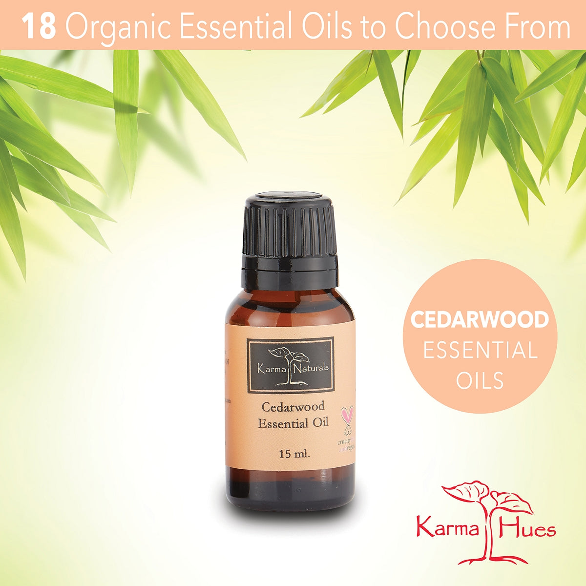 Cedarwood Essential Oil : 100% Pure Therapeutic Grade (15 ml)