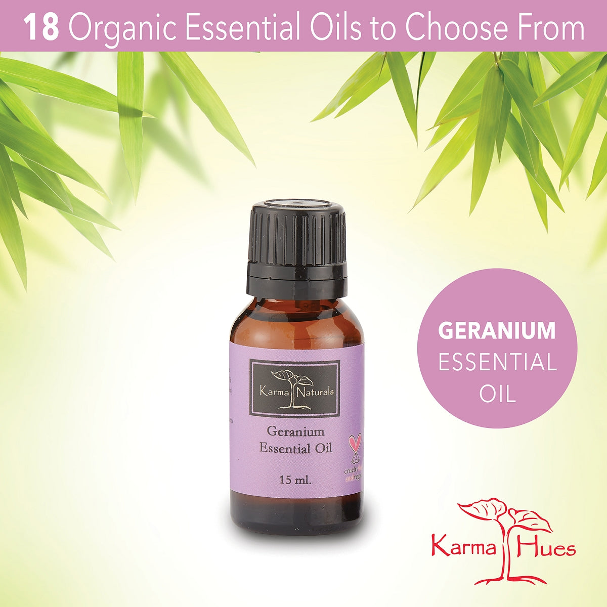 Geranium Essential Oil : 100% Pure Therapeutic Grade (15 ml)