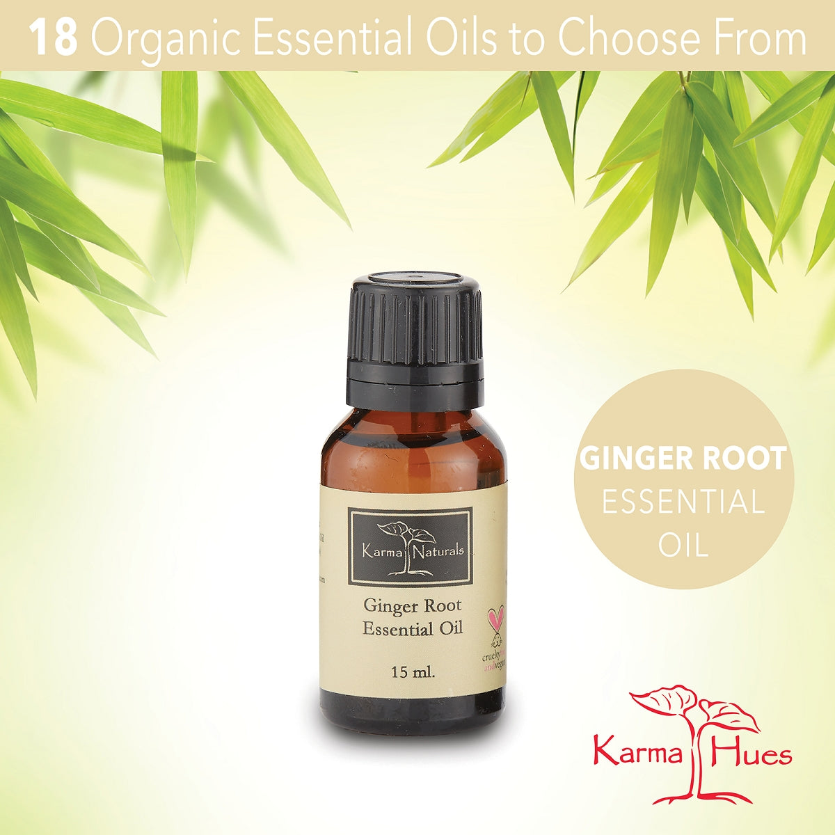 Ginger Root Essential Oil : 100% Pure Therapeutic Grade (15 ml)